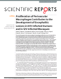 Cover page: Proliferation of Perivascular Macrophages Contributes to the Development of Encephalitic Lesions in HIV-Infected Humans and in SIV-Infected Macaques