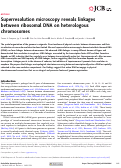 Cover page: Superresolution microscopy reveals linkages between ribosomal DNA on heterologous chromosomes