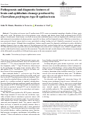 Cover page: Pathogenesis and diagnostic features of brain and ophthalmic damage produced by Clostridium perfringens type D epsilon toxin