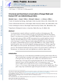 Cover page: Structural and functional conservation of fungal MatA and human SRY sex-determining proteins