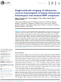 Cover page: Single-molecule imaging of telomerase reverse transcriptase in human telomerase holoenzyme and minimal RNP complexes