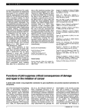 Cover page: Functions of p53 suppress critical consequences of damage and repair in the initiation of cancer