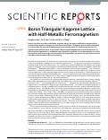 Cover page: Boron Triangular Kagome Lattice with Half-Metallic Ferromagnetism