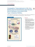 Cover page: Comparative Transcriptomics of Ex&nbsp;Vivo, Patient-Derived Endothelial Cells Reveals Novel Pathways Associated With Type&nbsp;2&nbsp;Diabetes Mellitus.