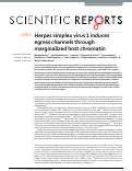 Cover page: Herpes simplex virus 1 induces egress channels through marginalized host chromatin