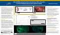 Cover page of Placental Mesenchymal Stem Cells Improve Motor Function in a Rat Unilateral Spinal Cord Contusion Model