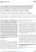 Cover page: Transcriptional reprogramming restores UBE3A brain-wide and rescues behavioral phenotypes in an Angelman syndrome mouse model