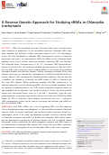 Cover page: A Reverse Genetic Approach for Studying sRNAs in Chlamydia trachomatis