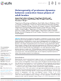 Cover page: Heterogeneity of proteome dynamics between connective tissue phases of adult tendon.