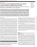 Cover page: The glucocorticoid-Angptl4-ceramide axis induces insulin resistance through PP2A and PKCζ