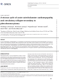 Cover page: A vicious cycle of acute catecholamine cardiomyopathy and circulatory collapse secondary to pheochromocytoma