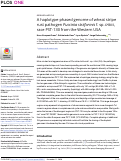 Cover page: A haplotype-phased genome of wheat stripe rust pathogen Puccinia striiformis f. sp. tritici, race PST-130 from the Western USA.