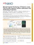 Cover page: Mussel-Inspired Anchoring of Polymer Loops That Provide Superior Surface Lubrication and Antifouling Properties