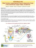 Cover page: A Field Key to the Most Common Lygus Species Found in Agronomic Crops of the Central San Joaquin Valley of California