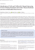 Cover page: Identification of VAPA and VAPB as Kv2 Channel-Interacting Proteins Defining Endoplasmic Reticulum–Plasma Membrane Junctions in Mammalian Brain Neurons