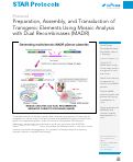 Cover page: Preparation, Assembly, and Transduction of Transgenic Elements Using Mosaic Analysis with Dual Recombinases (MADR)