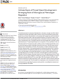 Cover page: Cellular Basis of Pineal Gland Development: Emerging Role of Microglia as Phenotype Regulator