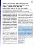 Cover page: Selective incorporation of proteinaceous over nonproteinaceous cationic amino acids in model prebiotic oligomerization reactions