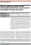 Cover page: Spatial mapping of hepatic ER and mitochondria architecture reveals zonated remodeling in fasting and obesity.