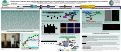 Cover page: Development of a Model, Metal-reducing Microbial Community for a System Biology Level Assessment of Desulfovibrio vulgaris as part of a Community