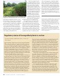 Cover page: Regulatory status of transgrafted plants is unclear