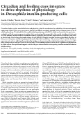Cover page: Circadian and feeding cues integrate to drive rhythms of physiology in Drosophila insulin-producing cells
