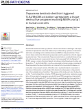 Cover page: Treponema denticola dentilisin triggered TLR2/MyD88 activation upregulates a tissue destructive program involving MMPs via Sp1 in human oral cells