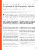 Cover page: Ameloblastin is a cell adhesion molecule required for maintaining the differentiation state of ameloblasts