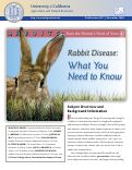 Cover page: Rabbits - From the Animal's Point of View, 4: Rabbit Disease