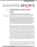 Cover page: Sustaining dry surfaces under water.