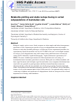 Cover page: Metabolite Profiling and Stable Isotope Tracing in Sorted Subpopulations of Mammalian Cells