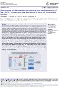 Cover page: Bioengineered miR-34a modulates mitochondrial inner membrane protein 17 like 2 (MPV17L2) expression toward the control of cancer cell mitochondrial functions