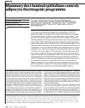 Cover page: Mammary duct luminal epithelium controls adipocyte thermogenic programme