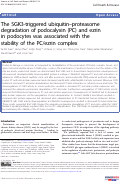 Cover page: The SGK3-triggered ubiquitin–proteasome degradation of podocalyxin (PC) and ezrin in podocytes was associated with the stability of the PC/ezrin complex