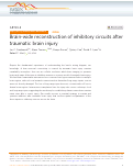 Cover page: Brain-wide reconstruction of inhibitory circuits after traumatic brain injury