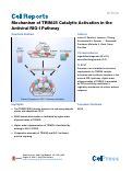 Cover page: Mechanism of TRIM25 Catalytic Activation in the Antiviral RIG-I Pathway