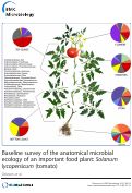 Cover page: Baseline survey of the anatomical microbial ecology of an important food plant: Solanum lycopersicum (tomato)