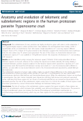 Cover page: Anatomy and evolution of telomeric and subtelomeric regions in the human protozoan parasite Trypanosoma cruzi.