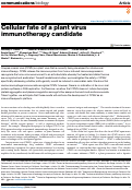 Cover page: Cellular fate of a plant virus immunotherapy candidate.