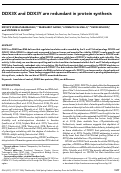 Cover page: DDX3X and DDX3Y are redundant in protein synthesis