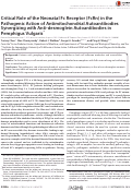 Cover page: Critical Role of the Neonatal Fc Receptor (FcRn) in the Pathogenic Action of Antimitochondrial Autoantibodies Synergizing with Anti-desmoglein Autoantibodies in Pemphigus Vulgaris