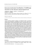 Cover page: Immunocytochemical localization of GABAergic neurones at the electron microscopical level