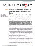 Cover page: Cross-Scale Molecular Analysis of Chemical Heterogeneity in Shale Rocks