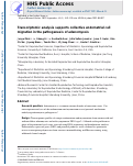 Cover page: Transcriptomic analysis supports collective endometrial cell migration in the pathogenesis of adenomyosis