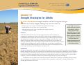 Cover page: Drought Tip: Drought Strategies for Alfalfa