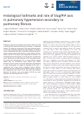 Cover page: Histological hallmarks and role of Slug/PIP axis in pulmonary hypertension secondary to pulmonary fibrosis