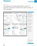 Cover page: Encoding and context-dependent control of reward consumption within the central nucleus of the amygdala.