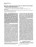 Cover page: Molecular cloning and characterization of a cDNA for the beta subunit of human alcohol dehydrogenase.