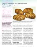 Cover page: Losses due to lenticel rot are an increasing concern for Kern County potato growers