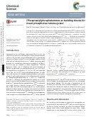 Cover page: (Phosphanyl)phosphaketenes as building blocks for novel phosphorus heterocycles